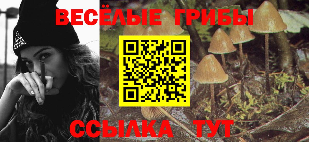 Волгоград  Галлюциногенные грибы мицелий  продажа наркотиков  Вход с VPN  Галлюциногенные грибы Magic Shrooms 